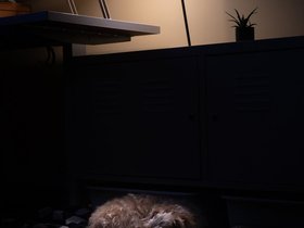 ../2024/04/27-2230-nixie.jpg