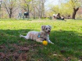 ../2024/04/28-1309-nixie.jpg