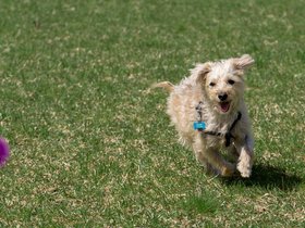 ../2024/05/11-1457-nixie-fetch.jpg
