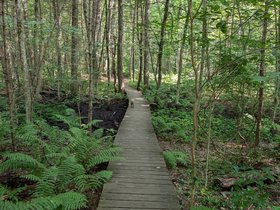 ../2024/07/14-1034-dug_pond-nixie-hiking.jpg