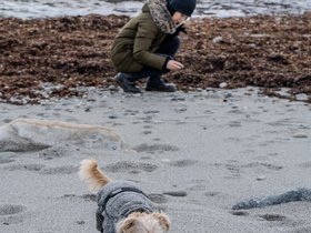 08-1131-newport_RI-nixie-nora.jpg