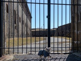 09-1118-newport_RI-fort-ruins-nixie.jpg