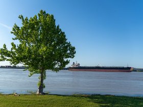 17-1845-tree-ship-new_orleans-LA-river.jpg