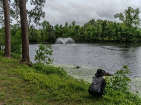 20-1452-new_orleans-LA-nora-park.jpg