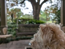 20-1513-new_orleans-LA-nixie-park.jpg