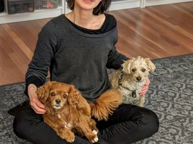 07-1907-dog-nixie-nora.jpg