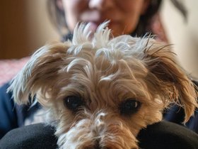 10-1012-nixie-nora.jpg