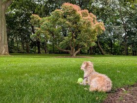 08-1410-nixie-park.jpg