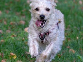 ../2025/09/13-1553-nixie.jpg