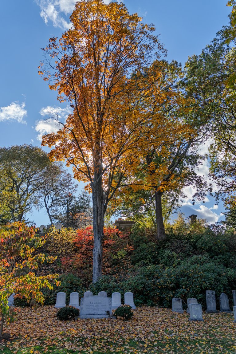 autumn graveyard