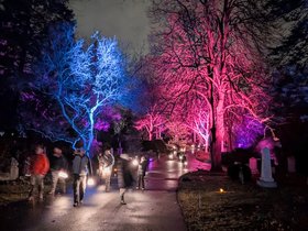19-2057-solstice-night-light-cemetery-mt_auburn-MA.jpg