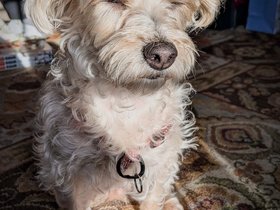 25-1443-nixie-sunlight.jpg