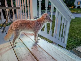 ../2026/06/20-2057-baltimore-MD-nixie.jpg