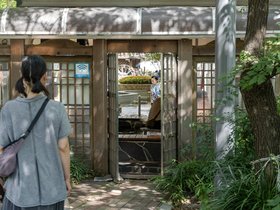 ../2026/07/31-1459-KR-daejeon-nora.jpg