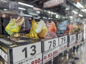 ../2026/08/03-1252-JPN-tokyo-toys.jpg