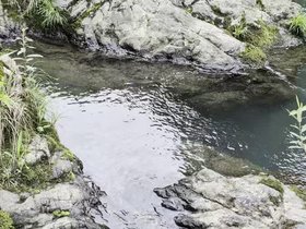 04-1330-tokyo-JP-hike-river.mp4