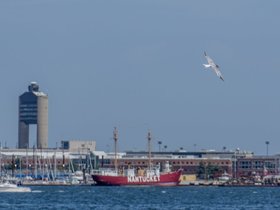 ../2026/08/16-1346-bird-boston-harbor-ship-airport.jpg