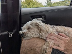 06-1602-by_nora-nixie.jpg
